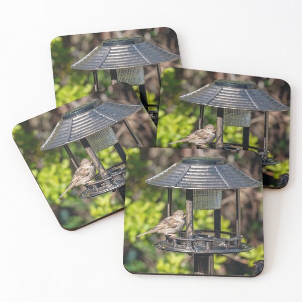 Item preview, Sparrow at a Bird Feeder designed and sold by David Patterson.