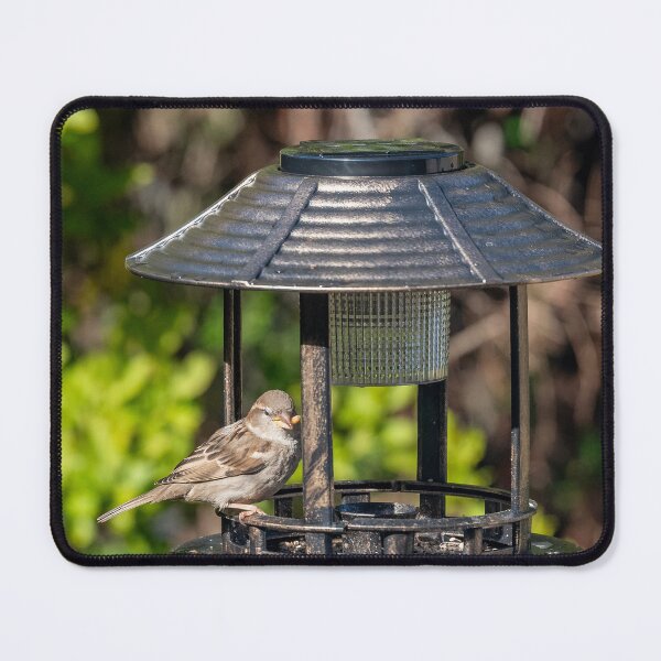 Item preview, Sparrow at a Bird Feeder designed and sold by David Patterson.