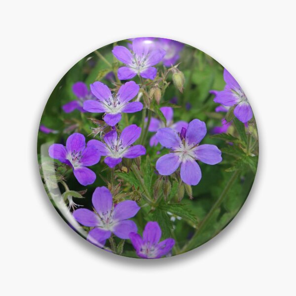 Item preview, Alpine flowers designed and sold by nikawanders.