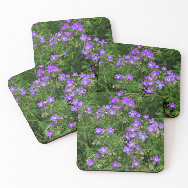 Item preview, Alpine flowers designed and sold by nikawanders.