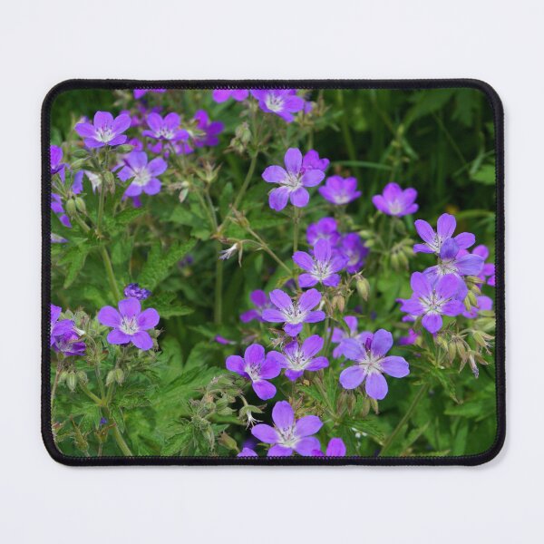 Item preview, Alpine flowers designed and sold by nikawanders.