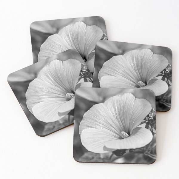 Item preview, Rose Mallow Flower in Black and White designed and sold by ADCImages.