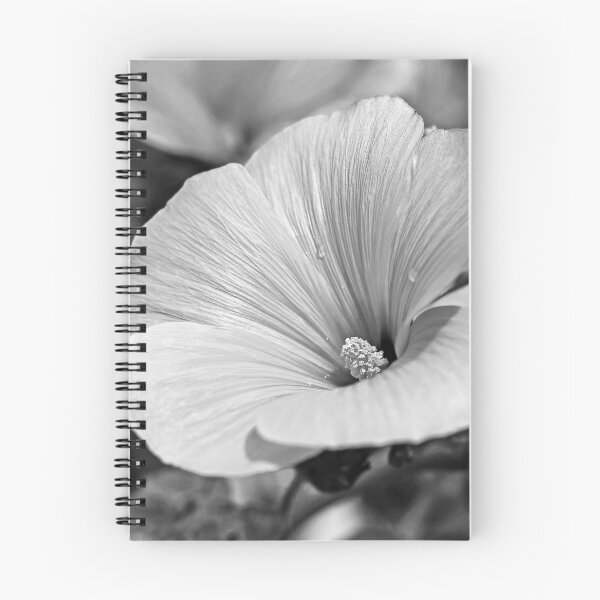 Item preview, Rose Mallow Flower in Black and White designed and sold by ADCImages.