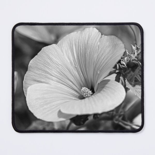 Item preview, Rose Mallow Flower in Black and White designed and sold by ADCImages.