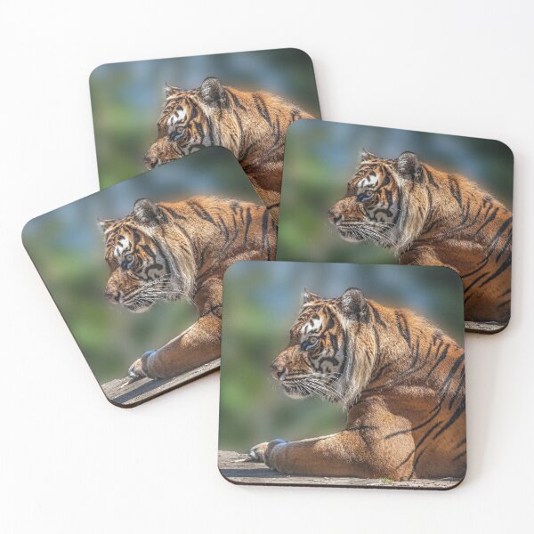 Item preview, Majestic Sumatran Tiger designed and sold by David Patterson.