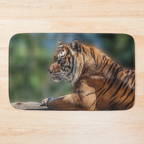 Item preview, Majestic Sumatran Tiger designed and sold by David Patterson.