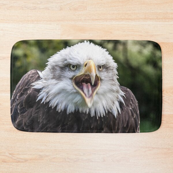 Item preview, Close-Up of a Bald Eagle with Open Beak designed and sold by David Patterson.