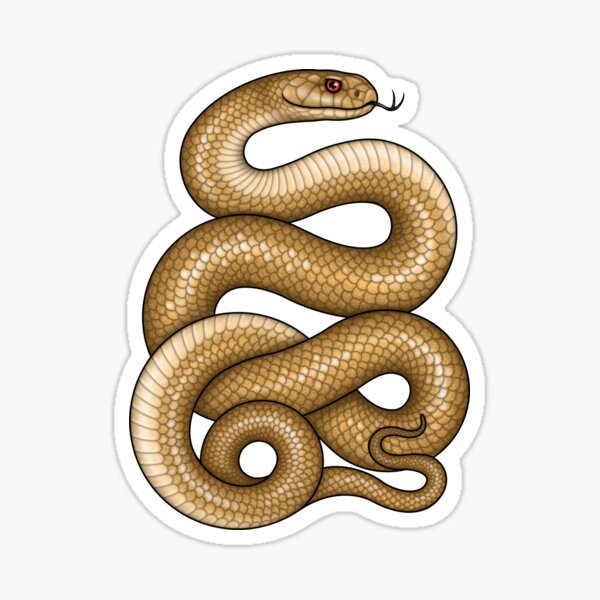 Item preview, King Brown Snake  designed and sold by miss-varanus.