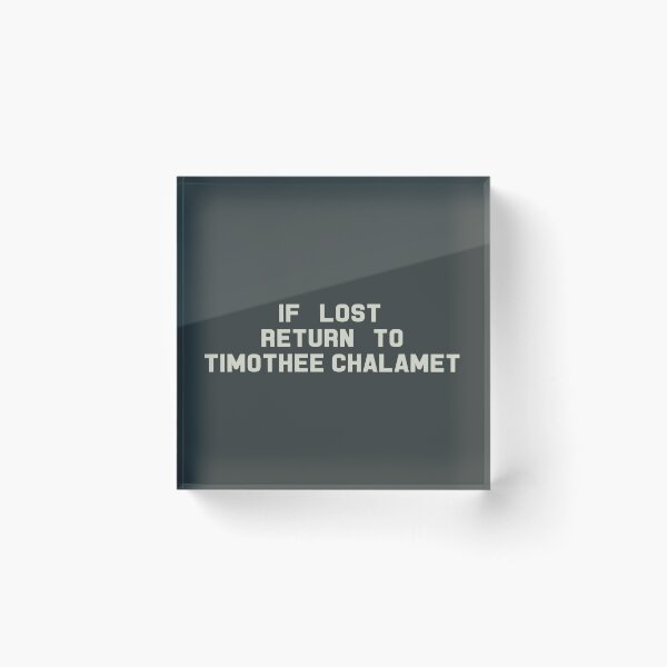 Artikelvorschau, If Lost Return to Timothee Chalamet Tee entworfen und verkauft von 2000sbabyangel.