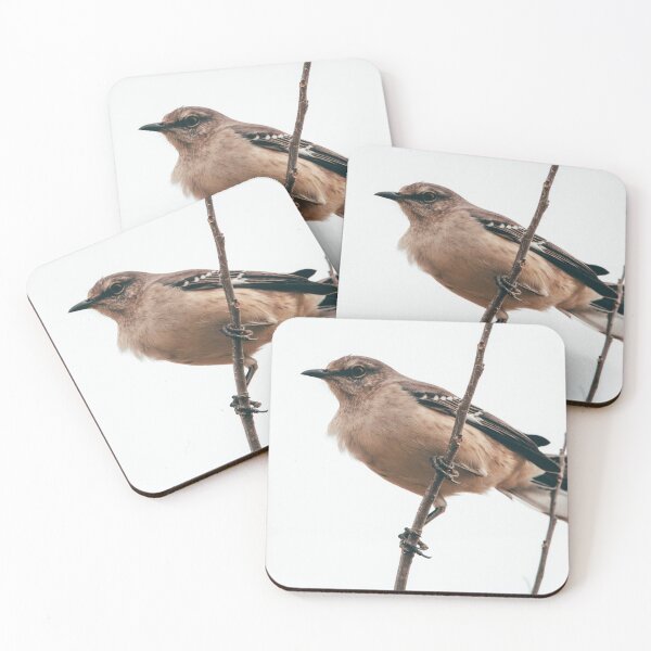 Item preview, Northern Mockingbird Perch designed and sold by BydandBay.