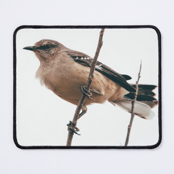 Item preview, Northern Mockingbird Perch designed and sold by BydandBay.
