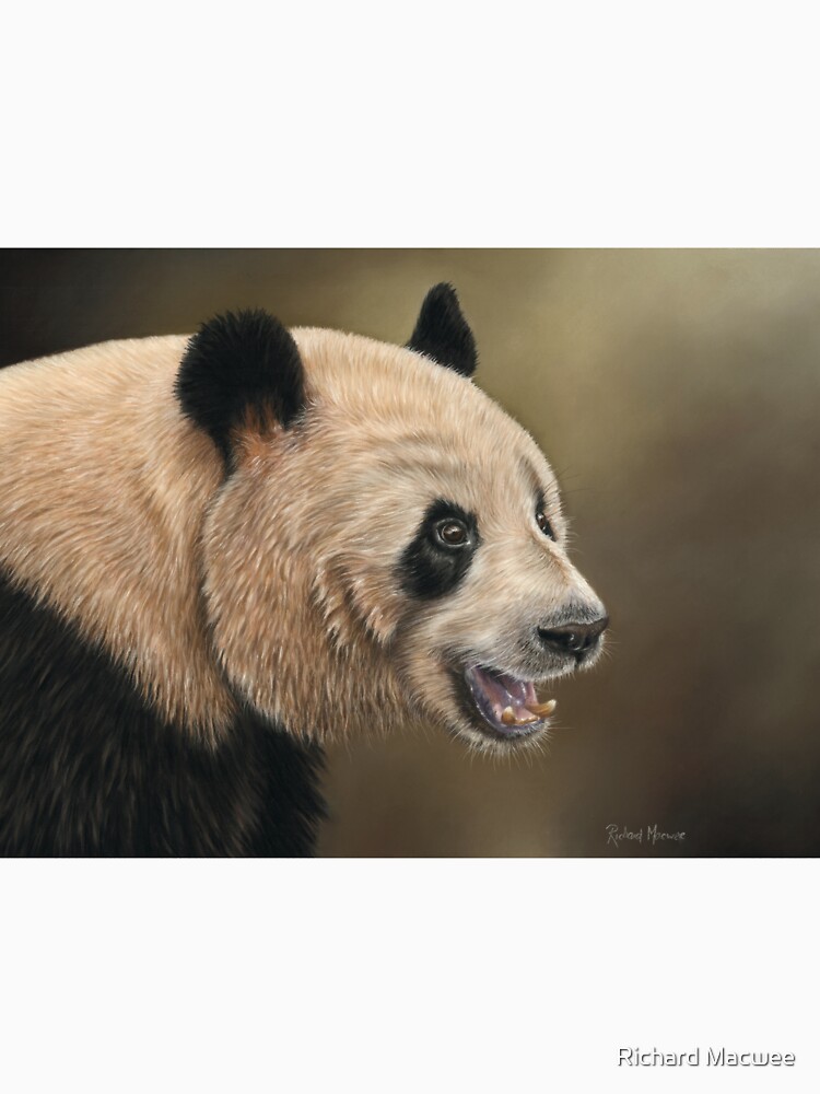 Giant Panda by richardmacwee