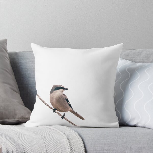 Item preview, Loggerhead Shrike Butcher Bird (A) designed and sold by BydandBay.