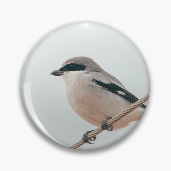 Item preview, Loggerhead Shrike aka Butcher Bird designed and sold by BydandBay.