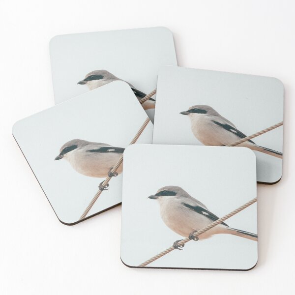 Item preview, Loggerhead Shrike aka Butcher Bird designed and sold by BydandBay.