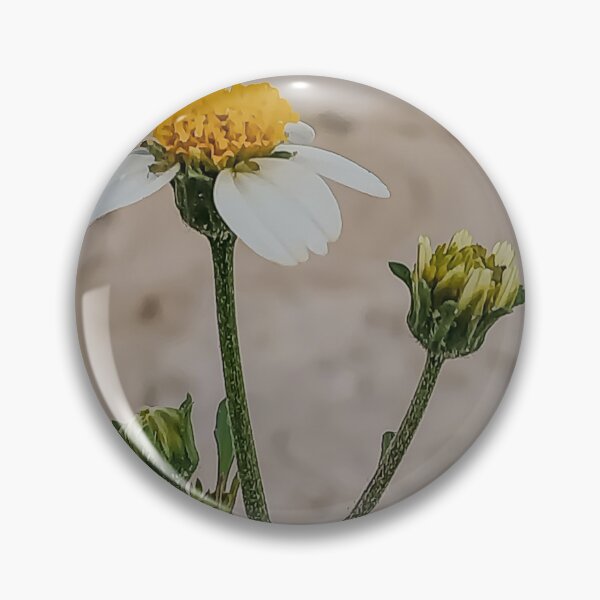 Artikelvorschau, Ein wildes Black Jack-Blumenfoto entworfen und verkauft von MsArtyCrafts.