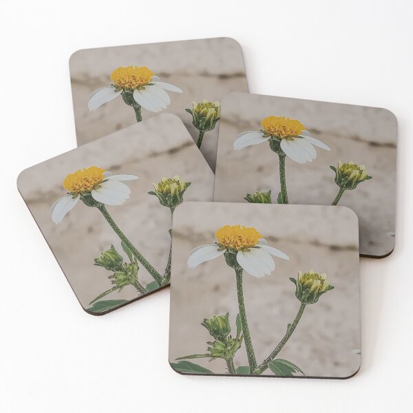 Item preview, A Wild Black Jack Flower Photo designed and sold by MsArtyCrafts.