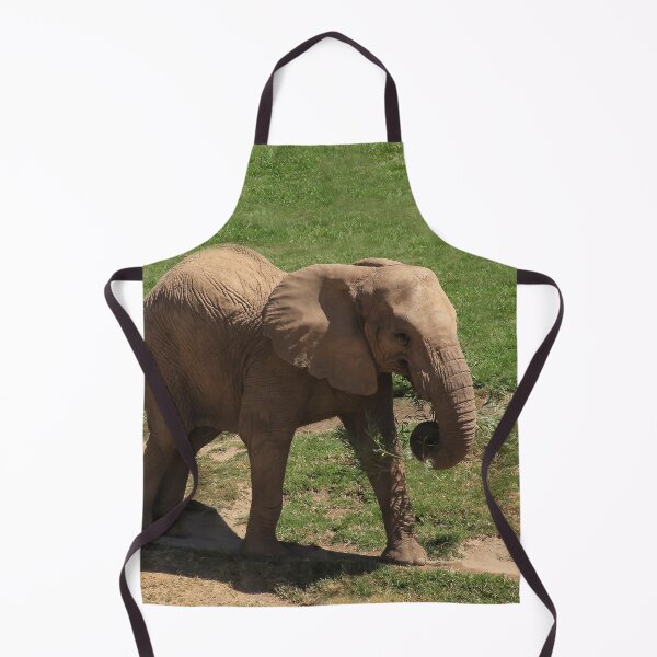 Item preview, Baby Takes a Walk designed and sold by heatherfriedman.