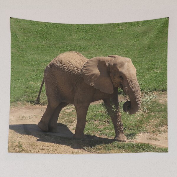 Item preview, Baby Takes a Walk designed and sold by heatherfriedman.