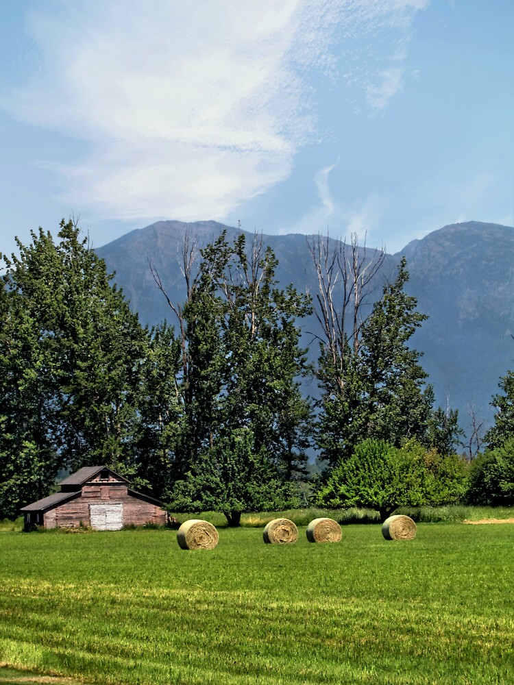 "Hay Bales And A Barn Kalispell, Montana" Sticker for Sale by jtrommer Redbubble