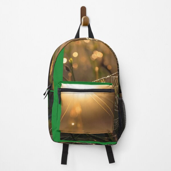 Item preview,   Sunrise Illuminating a Delicate Web designed and sold by KilianSzmid.