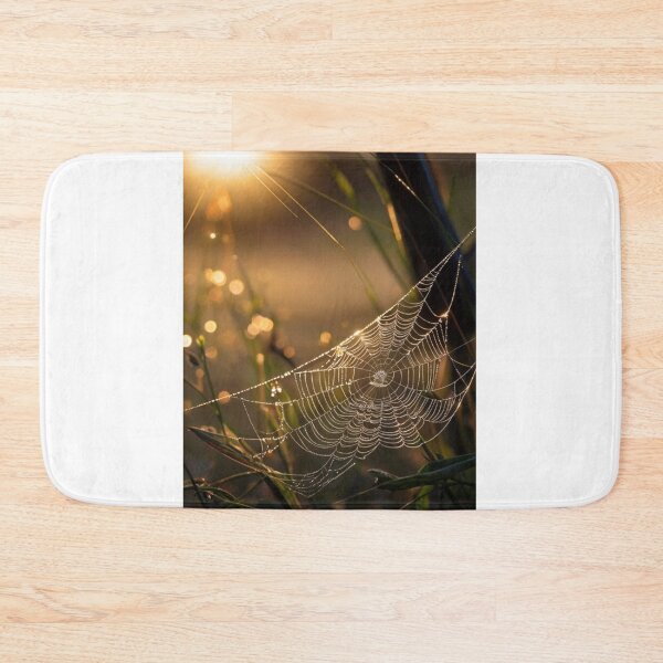 Item preview,   Sunrise Illuminating a Delicate Web designed and sold by KilianSzmid.