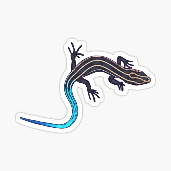 Item preview, Common Five Lined Skink designed and sold by Lily Hamilton.