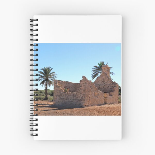Item preview, Dalhousie station ruins with a Date Palm designed and sold by BirdsAlive.