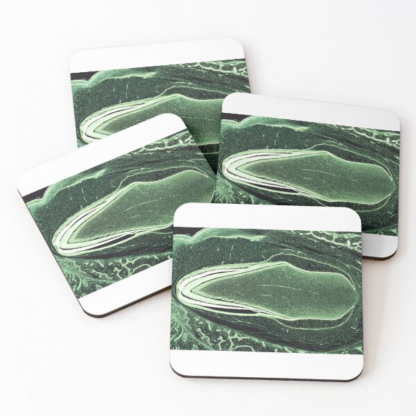 Item preview, Developing tooth designed and sold by Love Histology.