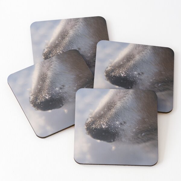 Item preview, Snow crystals on curious dog nose. designed and sold by DOGvision.