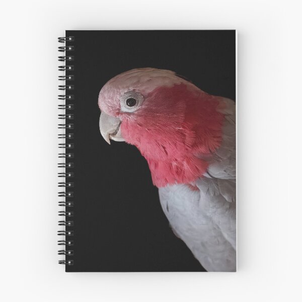 Item preview, La gran galah. designed and sold by Kate4721.
