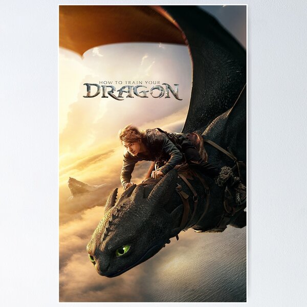 Item preview, How To Train Your Dragon Live action designed and sold by palmwillow.