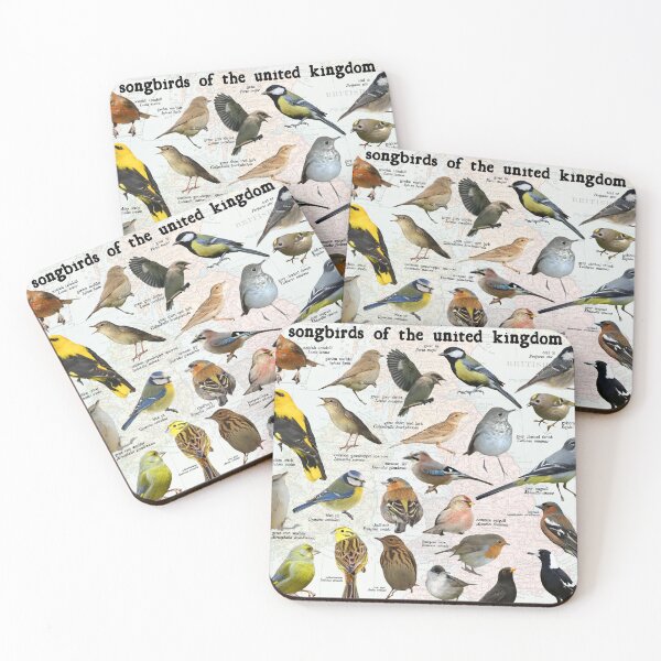 Item preview, songbirds of the United kingdom scientific map diagram  designed and sold by wesleykshaver.