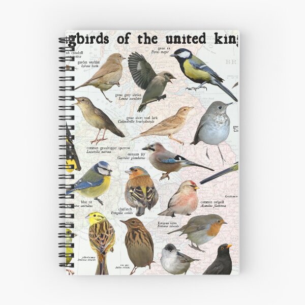 Item preview, songbirds of the United kingdom scientific map diagram  designed and sold by wesleykshaver.