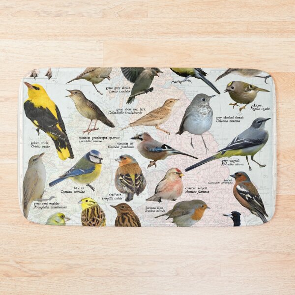 Item preview, songbirds of the United kingdom scientific map diagram designed and sold by wesleykshaver.