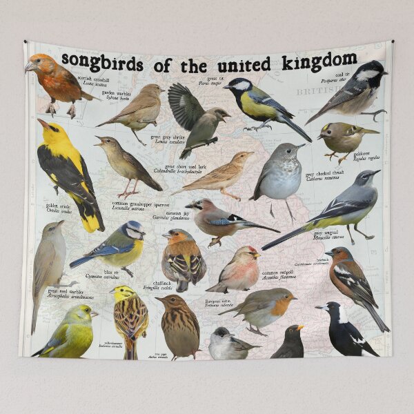 Item preview, songbirds of the United kingdom scientific map diagram  designed and sold by wesleykshaver.