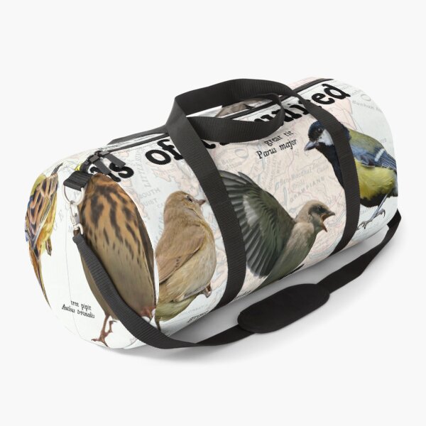 Item preview, songbirds of the United kingdom scientific map diagram  designed and sold by wesleykshaver.