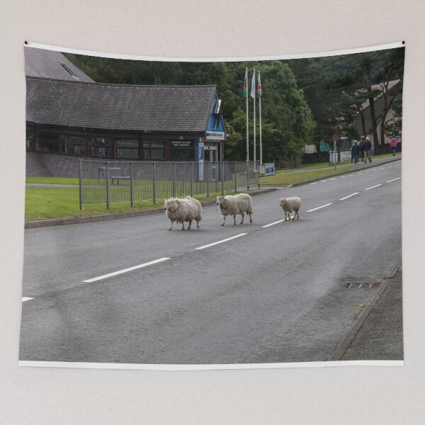 Item preview, Sheep Crossing the Road in a Rural Setting designed and sold by David Patterson.