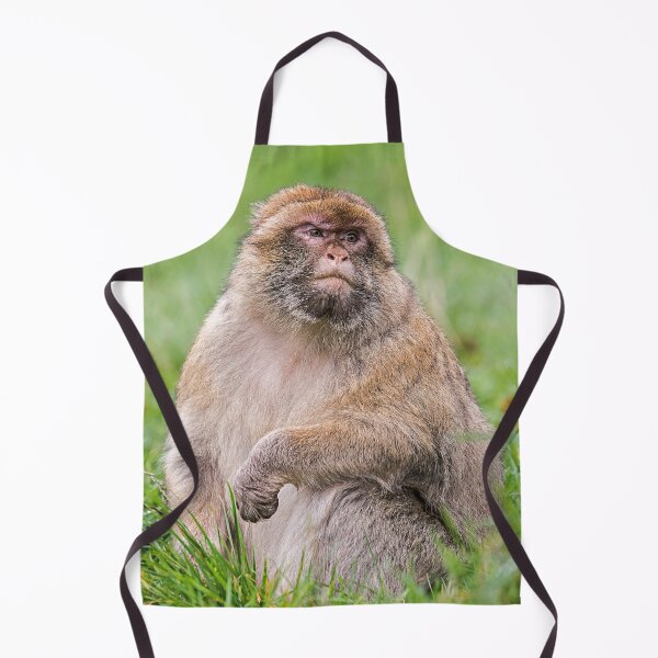 Item preview, Barbary Macaque in Natural Habitat designed and sold by David Patterson.