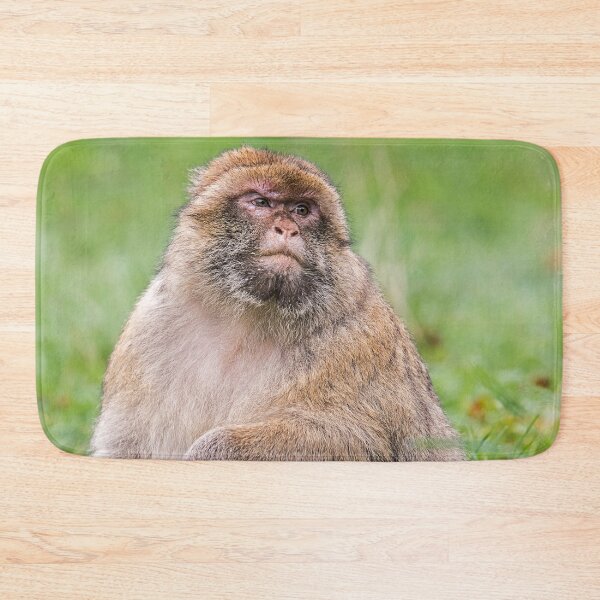 Item preview, Barbary Macaque in Natural Habitat designed and sold by David Patterson.