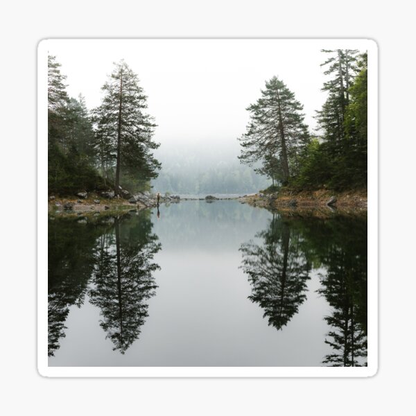 Calm morning at the lake Sticker