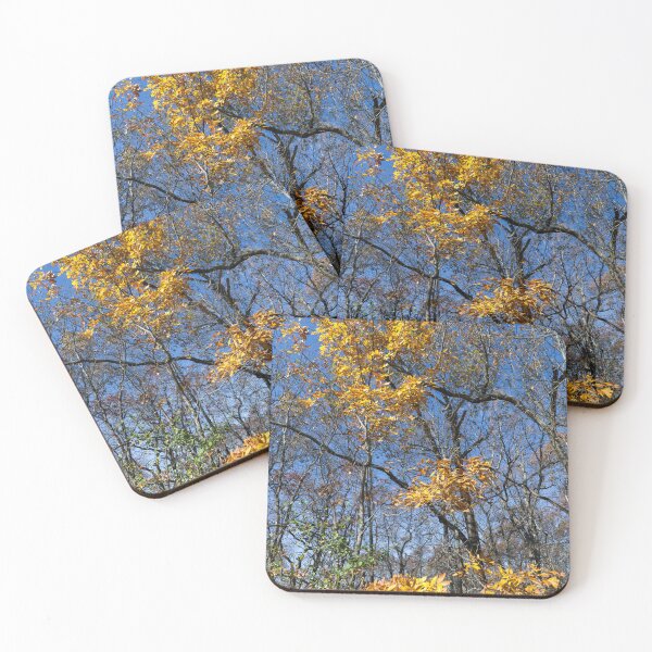 Item preview, Splash of Autumn designed and sold by Phil Perkins.