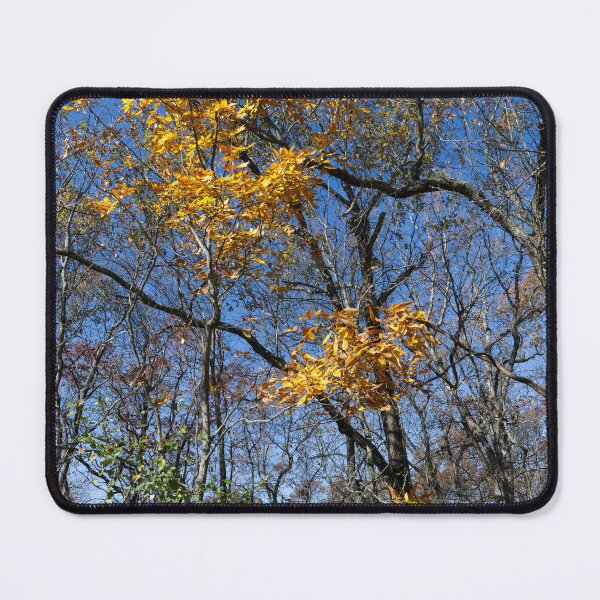 Item preview, Splash of Autumn designed and sold by Phil Perkins.