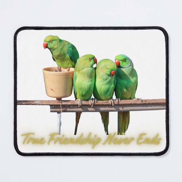 Item preview, True Bonds Never Fade designed and sold by shineAida.