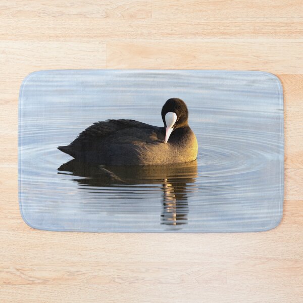 Item preview, Coot designed and sold by Margriet Photography .