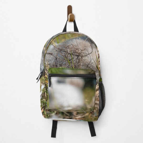 Item preview, Young Swan Cygnet Resting in Natural Habitat designed and sold by David Patterson.