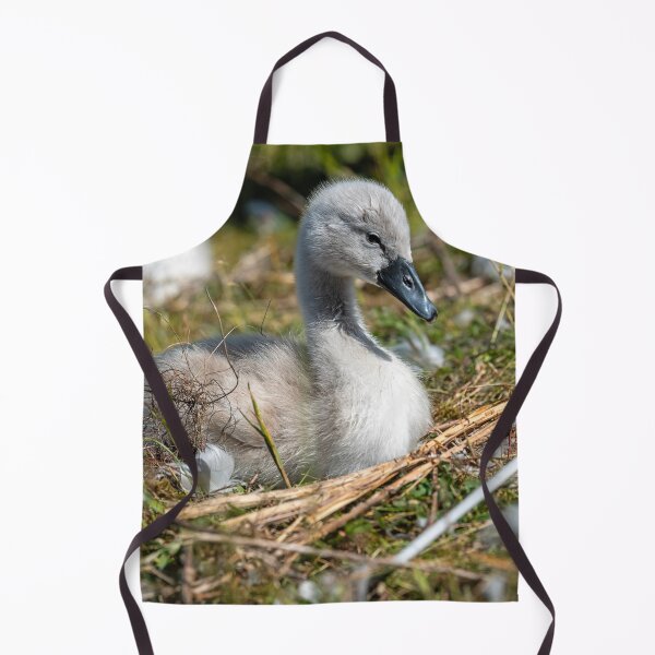 Item preview, Young Swan Cygnet Resting in Natural Habitat designed and sold by David Patterson.
