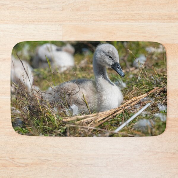 Item preview, Young Swan Cygnet Resting in Natural Habitat designed and sold by David Patterson.