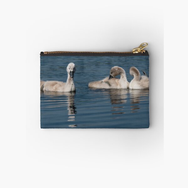 Item preview, Three Young Cygnets Swimming in a Serene Lake designed and sold by David Patterson.