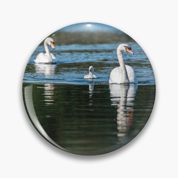 Item preview, Swan Family on a Serene Lake designed and sold by David Patterson.